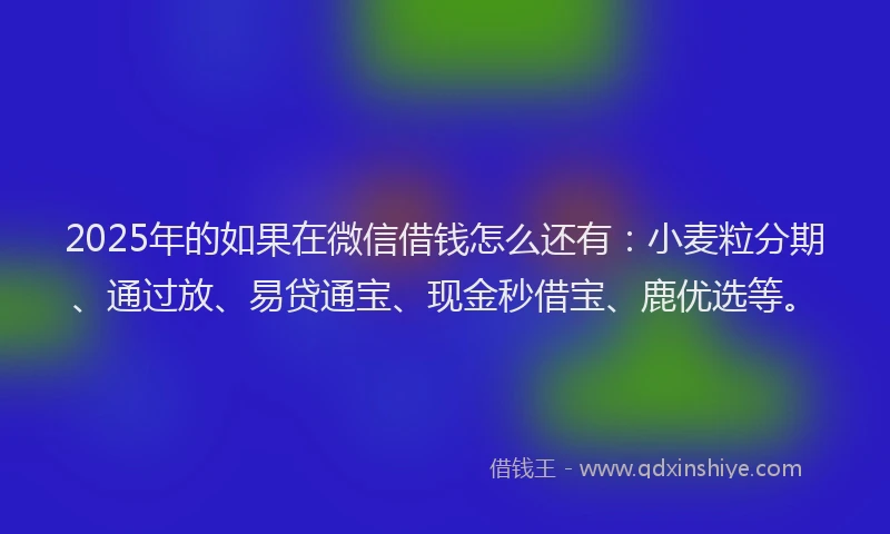2025年的如果在微信借钱怎么还有：小麦粒分期、通过放、易贷通宝、现金秒借宝、鹿优选等。