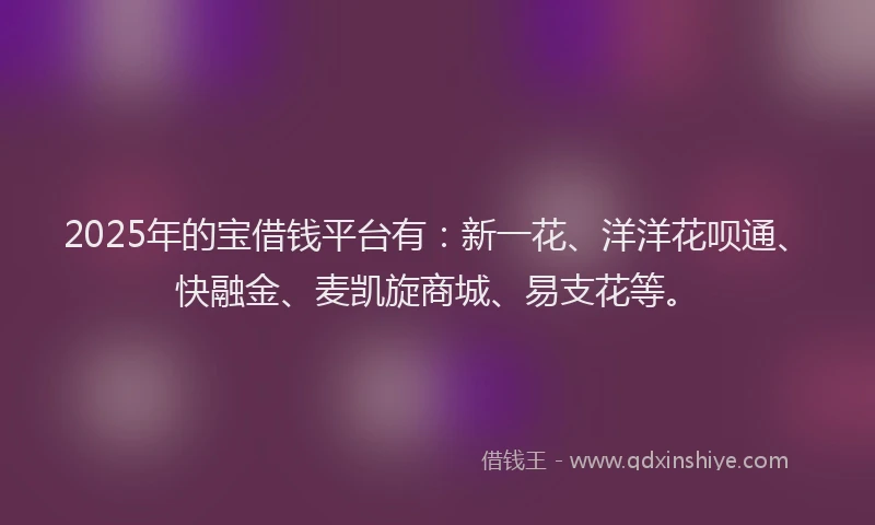 2025年的宝借钱平台有：新一花、洋洋花呗通、快融金、麦凯旋商城、易支花等。