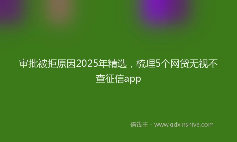 审批被拒原因2025年精选，梳理5个网贷无视不查征信app