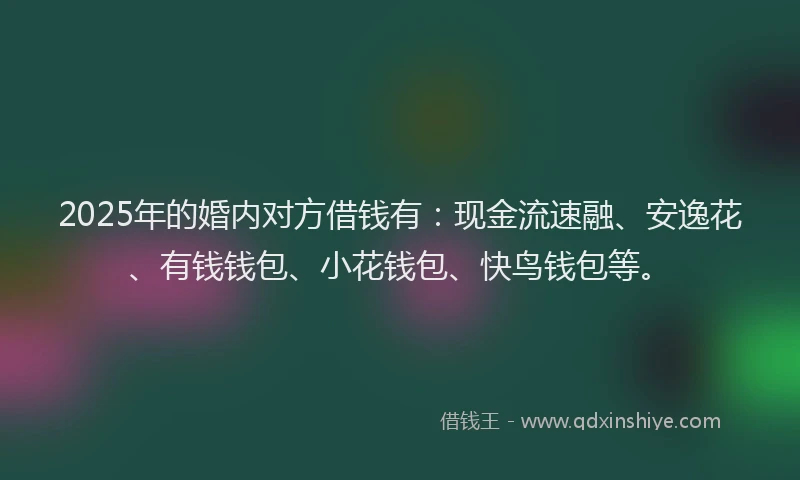 2025年的婚内对方借钱有：现金流速融、安逸花、有钱钱包、小花钱包、快鸟钱包等。