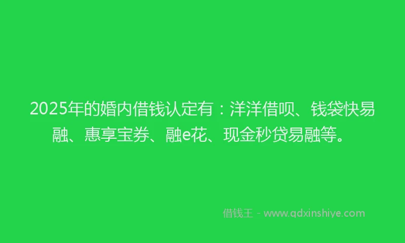 2025年的婚内借钱认定有：洋洋借呗、钱袋快易融、惠享宝券、融e花、现金秒贷易融等。