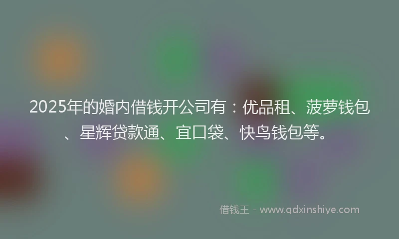 2025年的婚内借钱开公司有：优品租、菠萝钱包、星辉贷款通、宜口袋、快鸟钱包等。
