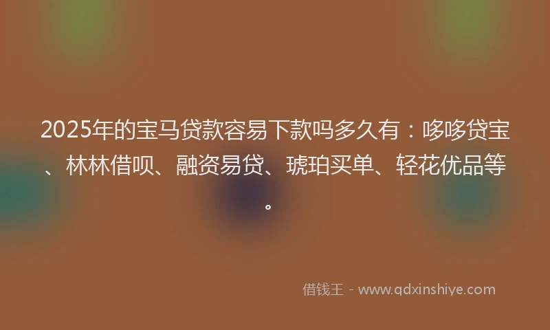 2025年的宝马贷款容易下款吗多久有：哆哆贷宝、林林借呗、融资易贷、琥珀买单、轻花优品等。