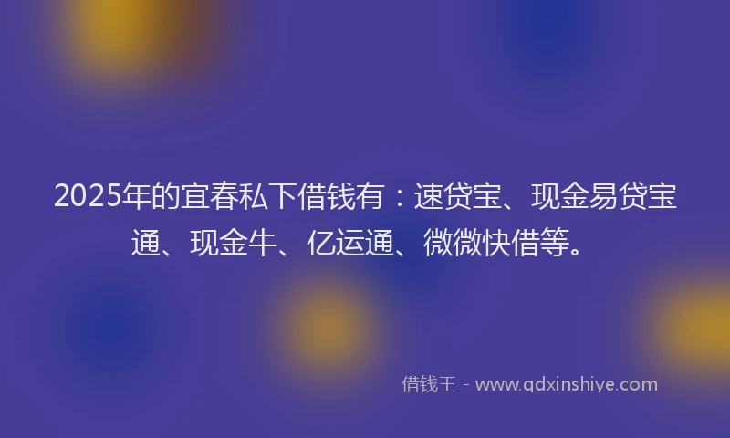 2025年的宜春私下借钱有：速贷宝、现金易贷宝通、现金牛、亿运通、微微快借等。
