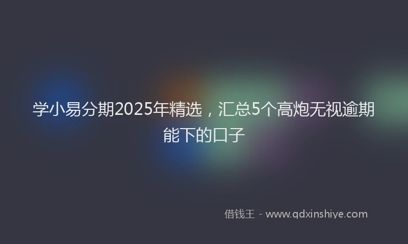 学小易分期2025年精选，汇总5个高炮无视逾期能下的口子