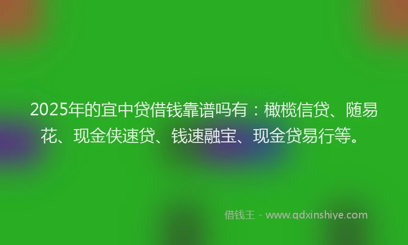 2025年的宜中贷借钱靠谱吗有：橄榄信贷、随易花、现金侠速贷、钱速融宝、现金贷易行等。