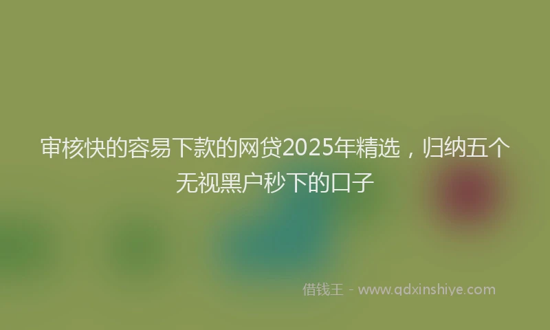 审核快的容易下款的网贷2025年精选，归纳五个无视黑户秒下的口子