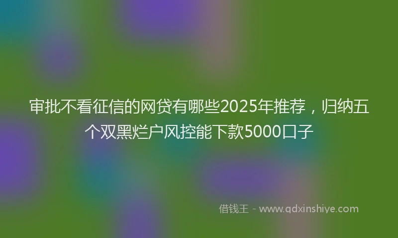 审批不看征信的网贷有哪些2025年推荐，归纳五个双黑烂户风控能下款5000口子