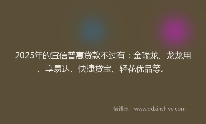 2025年的宜信普惠贷款不过有：金瑞龙、龙龙用、享易达、快捷贷宝、轻花优品等。