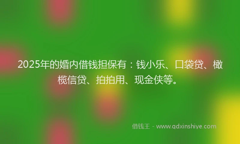 2025年的婚内借钱担保有：钱小乐、口袋贷、橄榄信贷、拍拍用、现金侠等。