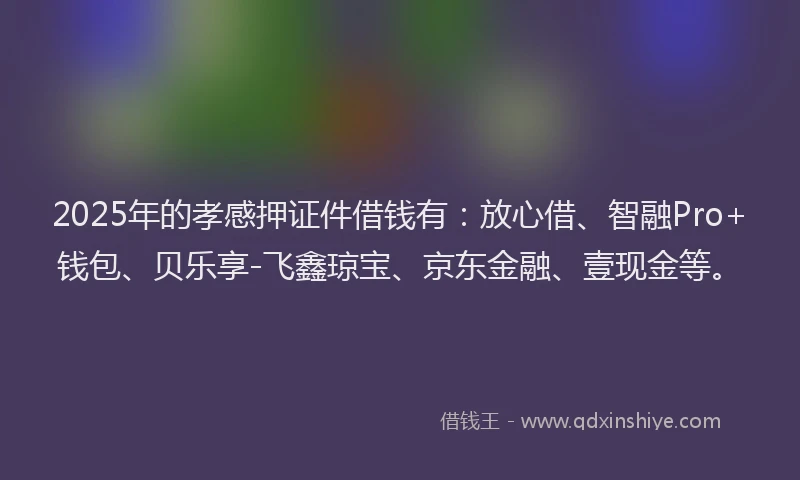 2025年的孝感押证件借钱有：放心借、智融Pro+钱包、贝乐享-飞鑫琼宝、京东金融、壹现金等。