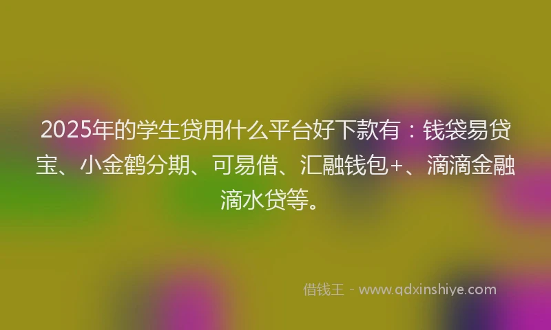 2025年的学生贷用什么平台好下款有：钱袋易贷宝、小金鹤分期、可易借、汇融钱包+、滴滴金融滴水贷等。