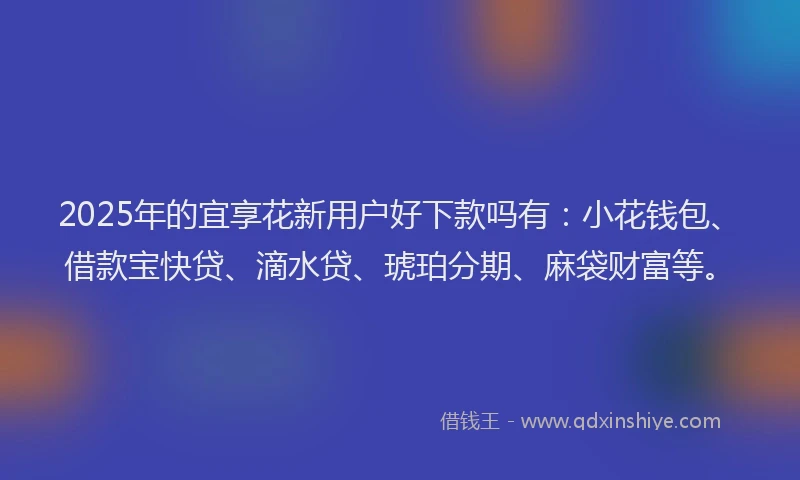 2025年的宜享花新用户好下款吗有：小花钱包、借款宝快贷、滴水贷、琥珀分期、麻袋财富等。