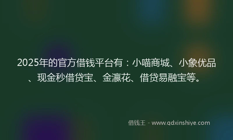 2025年的官方借钱平台有：小喵商城、小象优品、现金秒借贷宝、金瀛花、借贷易融宝等。