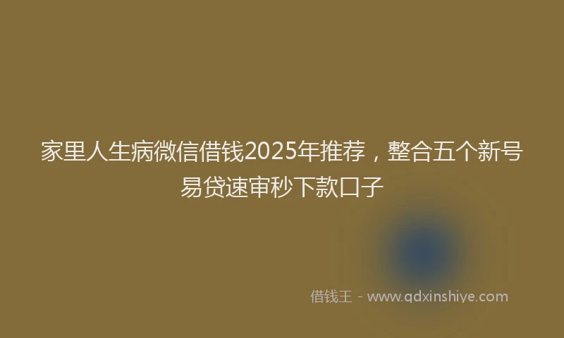 家里人生病微信借钱2025年推荐，整合五个新号易贷速审秒下款口子