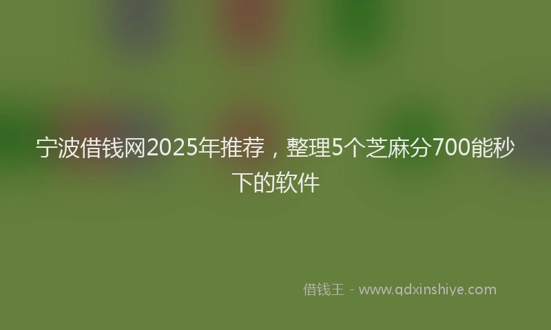 宁波借钱网2025年推荐，整理5个芝麻分700能秒下的软件