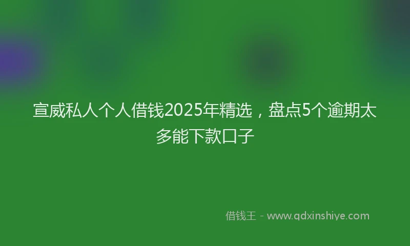 宣威私人个人借钱2025年精选，盘点5个逾期太多能下款口子