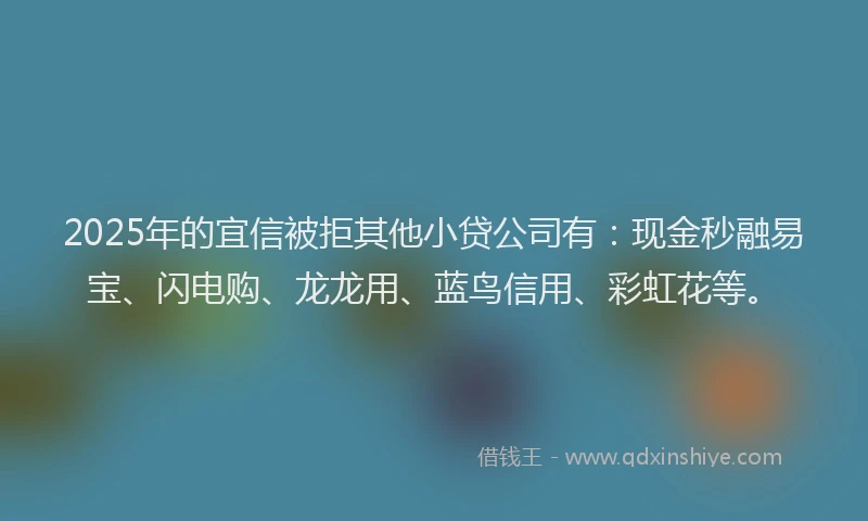 2025年的宜信被拒其他小贷公司有：现金秒融易宝、闪电购、龙龙用、蓝鸟信用、彩虹花等。