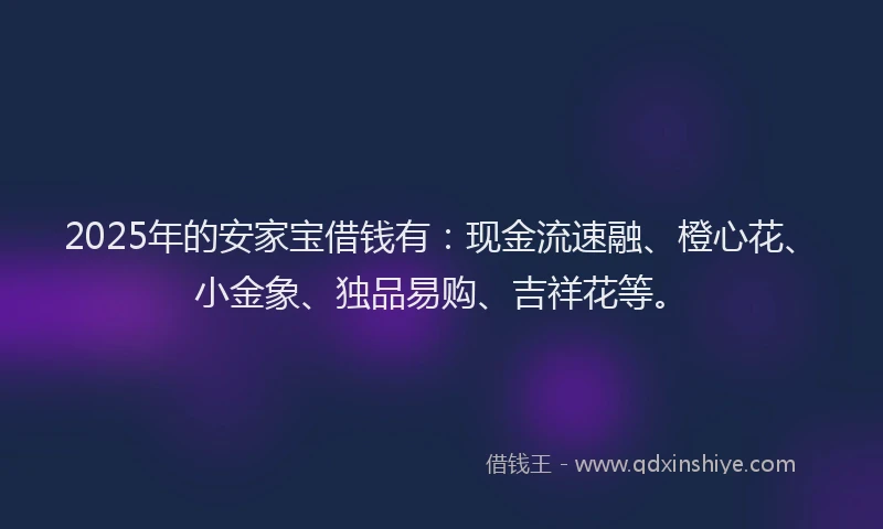 2025年的安家宝借钱有：现金流速融、橙心花、小金象、独品易购、吉祥花等。