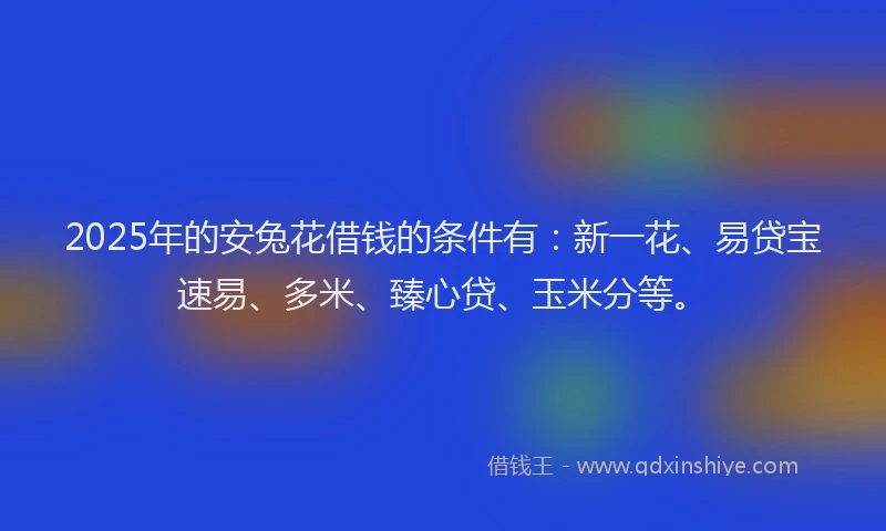 2025年的安兔花借钱的条件有：新一花、易贷宝速易、多米、臻心贷、玉米分等。
