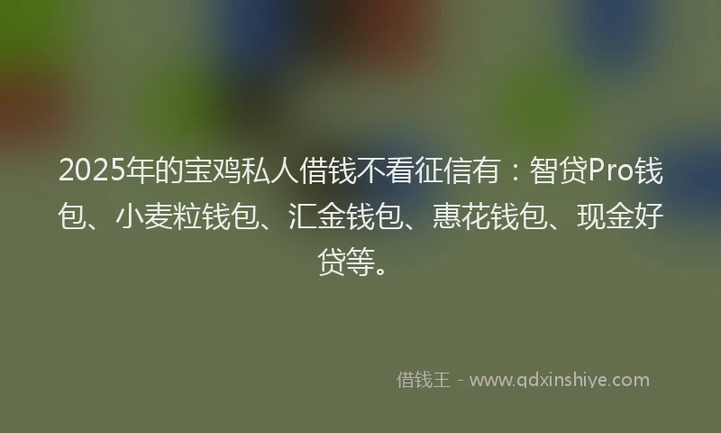 2025年的宝鸡私人借钱不看征信有：智贷Pro钱包、小麦粒钱包、汇金钱包、惠花钱包、现金好贷等。