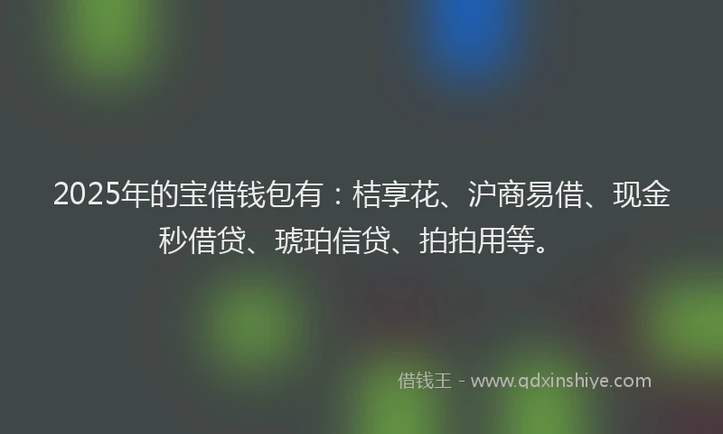 2025年的宝借钱包有：桔享花、沪商易借、现金秒借贷、琥珀信贷、拍拍用等。