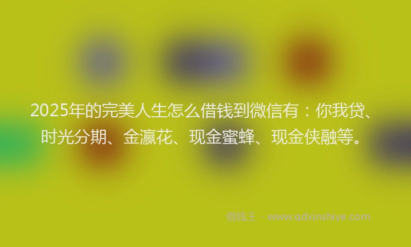 2025年的完美人生怎么借钱到微信有：你我贷、时光分期、金瀛花、现金蜜蜂、现金侠融等。