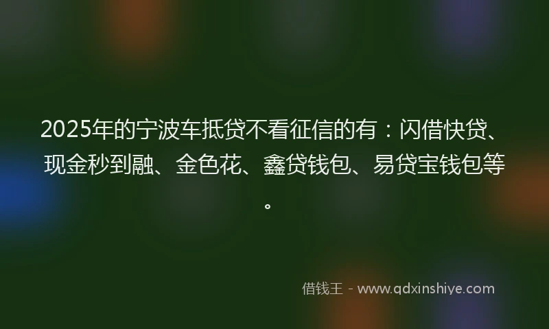 2025年的宁波车抵贷不看征信的有：闪借快贷、现金秒到融、金色花、鑫贷钱包、易贷宝钱包等。