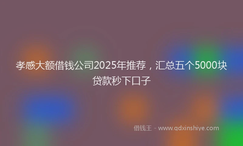 孝感大额借钱公司2025年推荐，汇总五个5000块贷款秒下口子