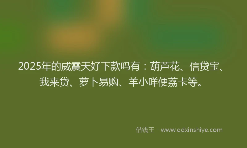 2025年的威震天好下款吗有：葫芦花、信贷宝、我来贷、萝卜易购、羊小咩便荔卡等。