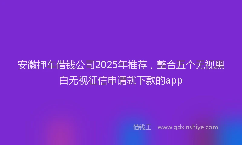 安徽押车借钱公司2025年推荐，整合五个无视黑白无视征信申请就下款的app
