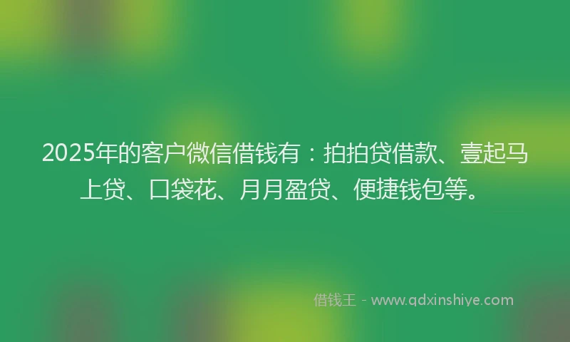 2025年的客户微信借钱有：拍拍贷借款、壹起马上贷、口袋花、月月盈贷、便捷钱包等。