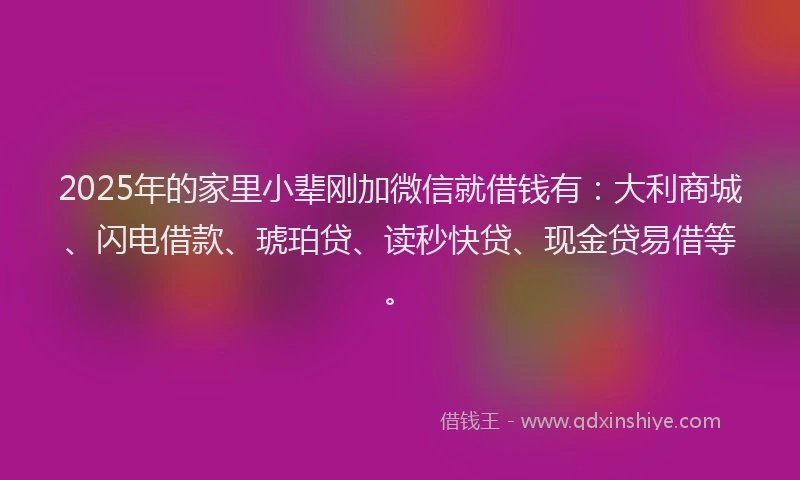 2025年的家里小辈刚加微信就借钱有：大利商城、闪电借款、琥珀贷、读秒快贷、现金贷易借等。