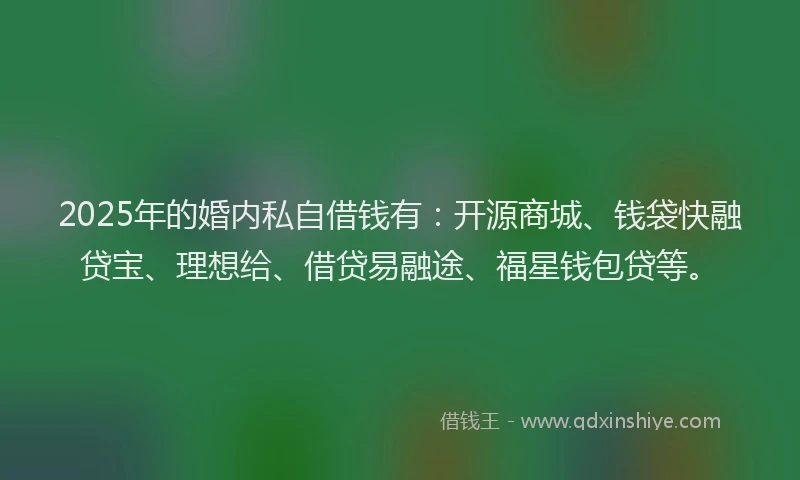 2025年的婚内私自借钱有：开源商城、钱袋快融贷宝、理想给、借贷易融途、福星钱包贷等。