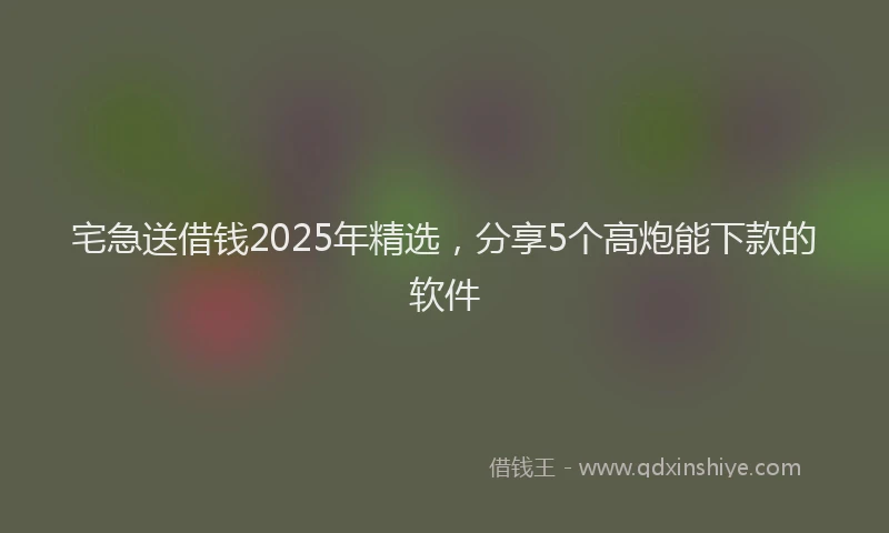 宅急送借钱2025年精选，分享5个高炮能下款的软件