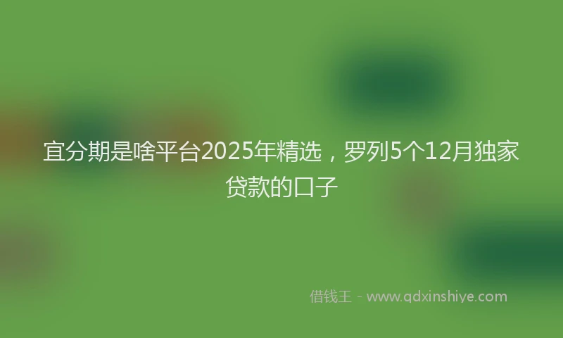 宜分期是啥平台2025年精选，罗列5个12月独家贷款的口子
