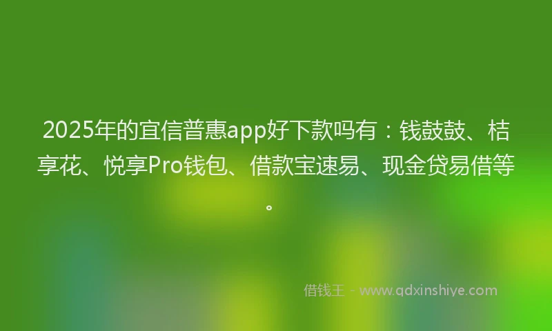 2025年的宜信普惠app好下款吗有：钱鼓鼓、桔享花、悦享Pro钱包、借款宝速易、现金贷易借等。