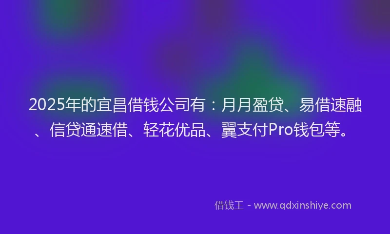 2025年的宜昌借钱公司有：月月盈贷、易借速融、信贷通速借、轻花优品、翼支付Pro钱包等。