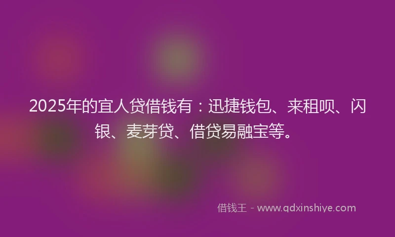 2025年的宜人贷借钱有：迅捷钱包、来租呗、闪银、麦芽贷、借贷易融宝等。