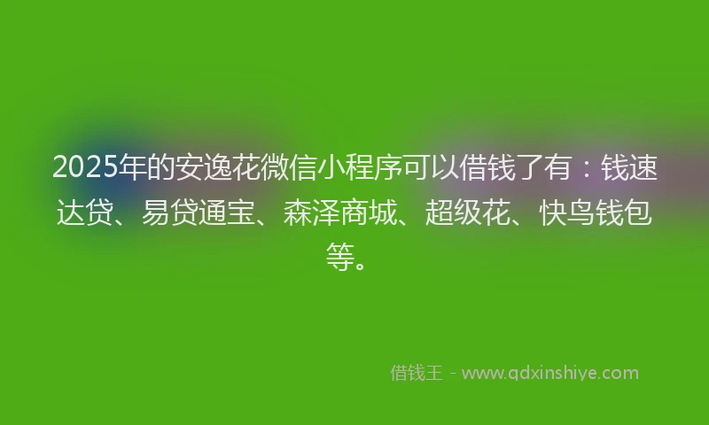 2025年的安逸花微信小程序可以借钱了有：钱速达贷、易贷通宝、森泽商城、超级花、快鸟钱包等。
