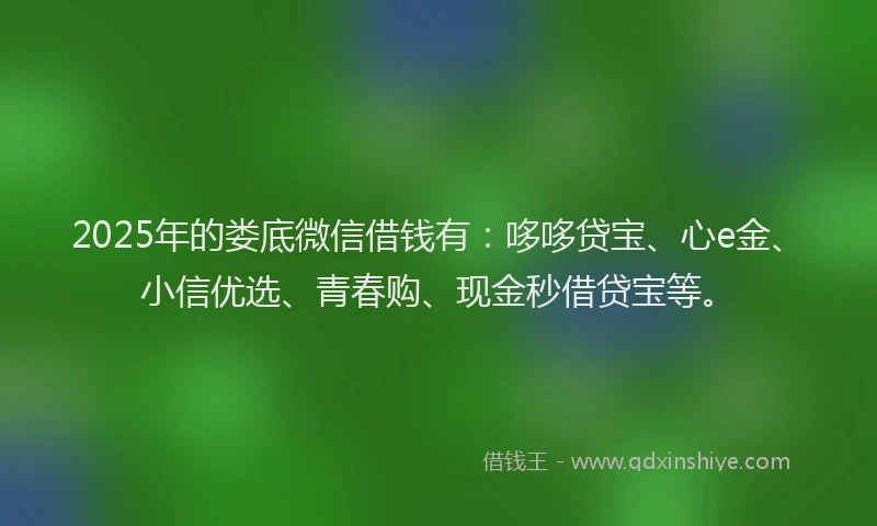 2025年的娄底微信借钱有：哆哆贷宝、心e金、小信优选、青春购、现金秒借贷宝等。