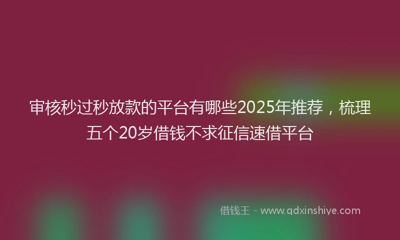 审核秒过秒放款的平台有哪些2025年推荐，梳理五个20岁借钱不求征信速借平台
