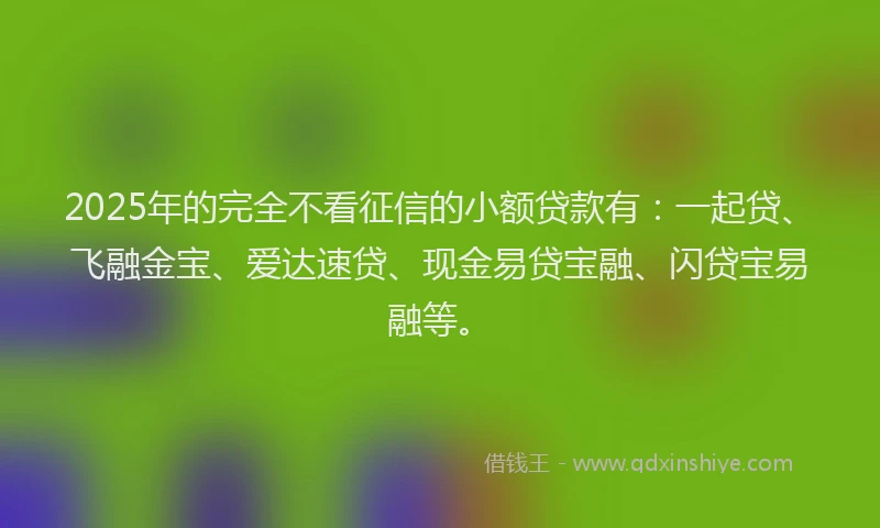 2025年的完全不看征信的小额贷款有：一起贷、飞融金宝、爱达速贷、现金易贷宝融、闪贷宝易融等。