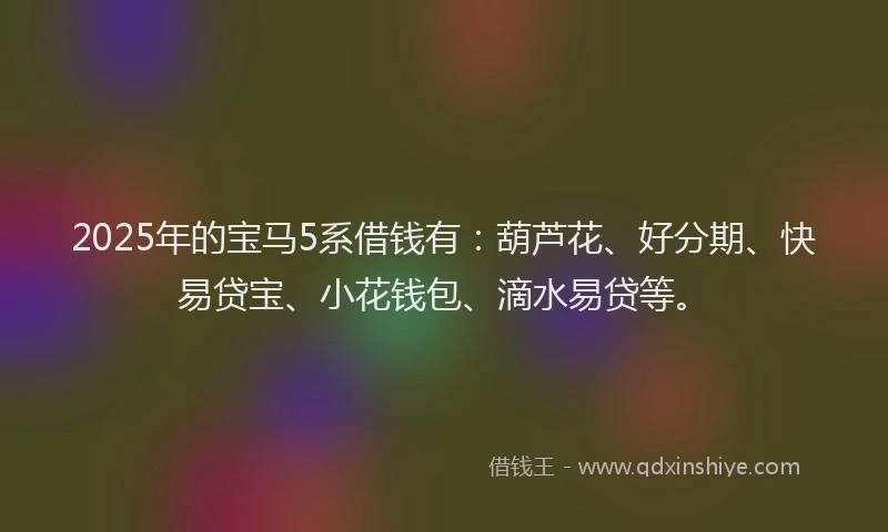 2025年的宝马5系借钱有：葫芦花、好分期、快易贷宝、小花钱包、滴水易贷等。