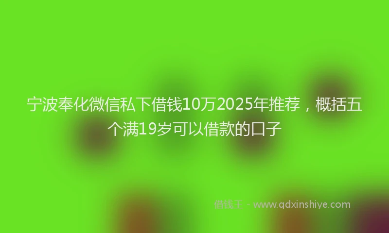 宁波奉化微信私下借钱10万2025年推荐，概括五个满19岁可以借款的口子