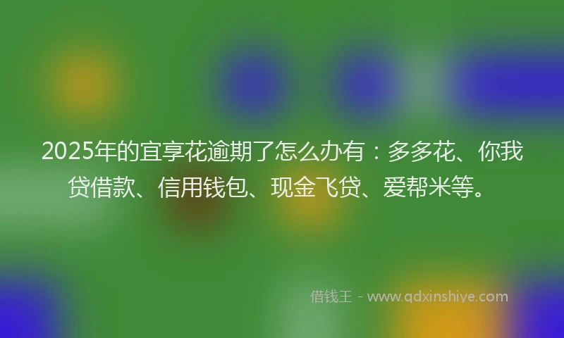 2025年的宜享花逾期了怎么办有：多多花、你我贷借款、信用钱包、现金飞贷、爱帮米等。