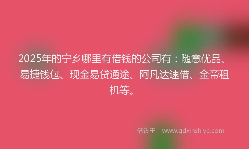 2025年的宁乡哪里有借钱的公司有：随意优品、易捷钱包、现金易贷通途、阿凡达速借、金帝租机等。
