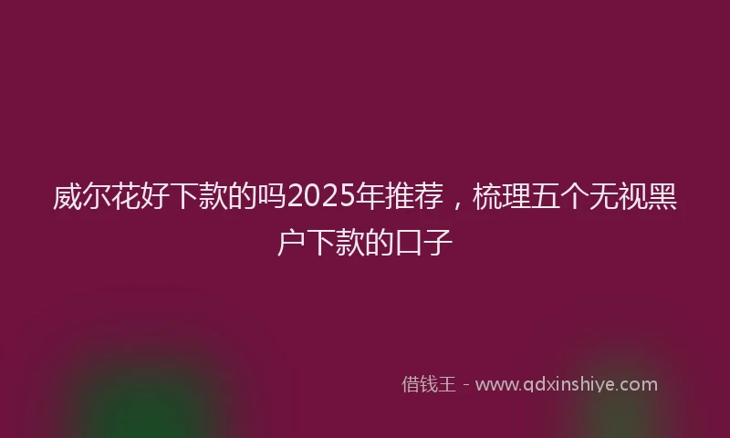 威尔花好下款的吗2025年推荐，梳理五个无视黑户下款的口子