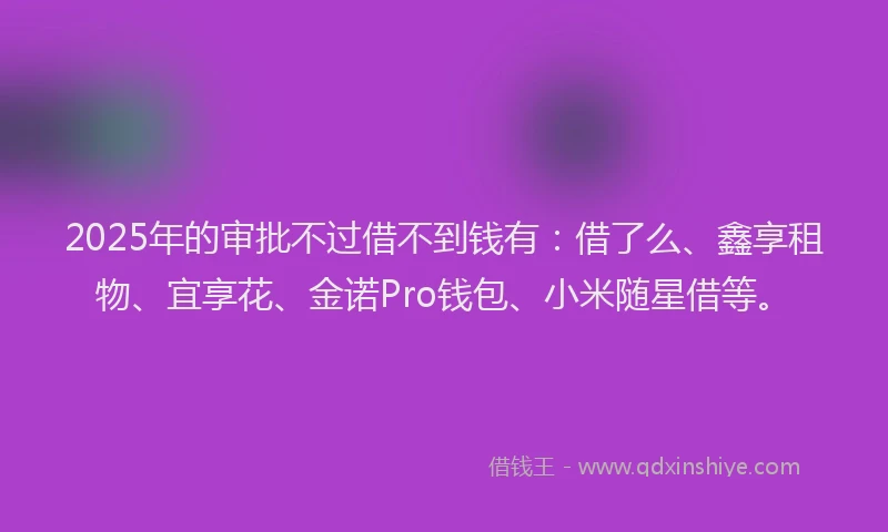 2025年的审批不过借不到钱有：借了么、鑫享租物、宜享花、金诺Pro钱包、小米随星借等。