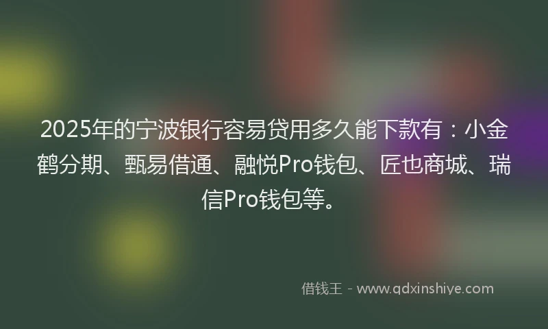 2025年的宁波银行容易贷用多久能下款有：小金鹤分期、甄易借通、融悦Pro钱包、匠也商城、瑞信Pro钱包等。
